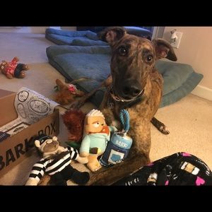 Meet your Posher, Christy